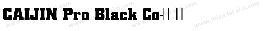 CAIJIN Pro Black Co字体转换